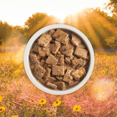 Acana Premium Chunks Grain Free Duck Recipe for Dogs