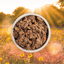 Acana Premium Puppy Recipe Grain Free Pate in Bone Broth for Dogs