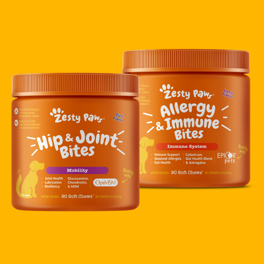 Everyday Functionals | Bundle for Dogs