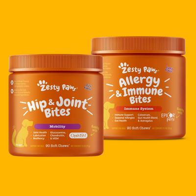 Everyday Functionals | Bundle for Dogs