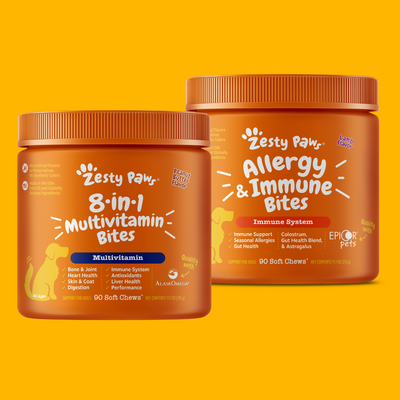 Best of Zest | Bundle for Dogs