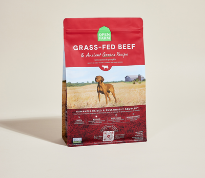 Open Farm Grass-Fed Beef & Ancient Grains Dog Kibble