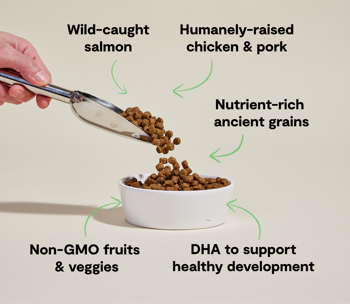 Open Farm Chicken & Salmon Ancient Grains Puppy Kibble