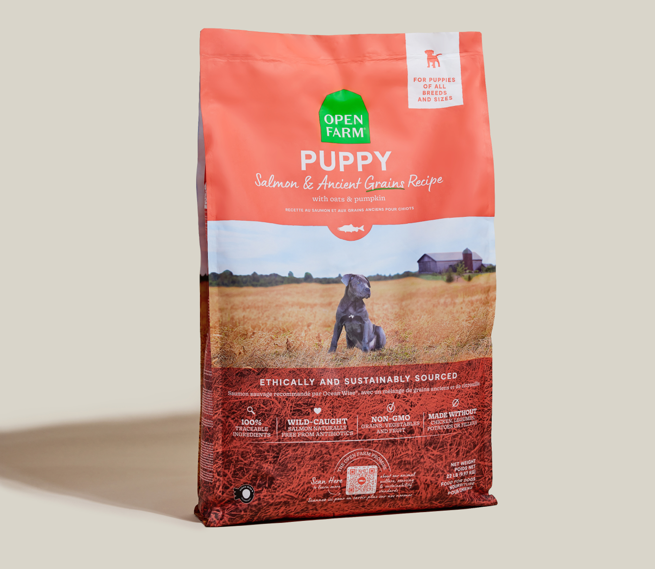 Open Farm Salmon & Ancient Grains Puppy Kibble