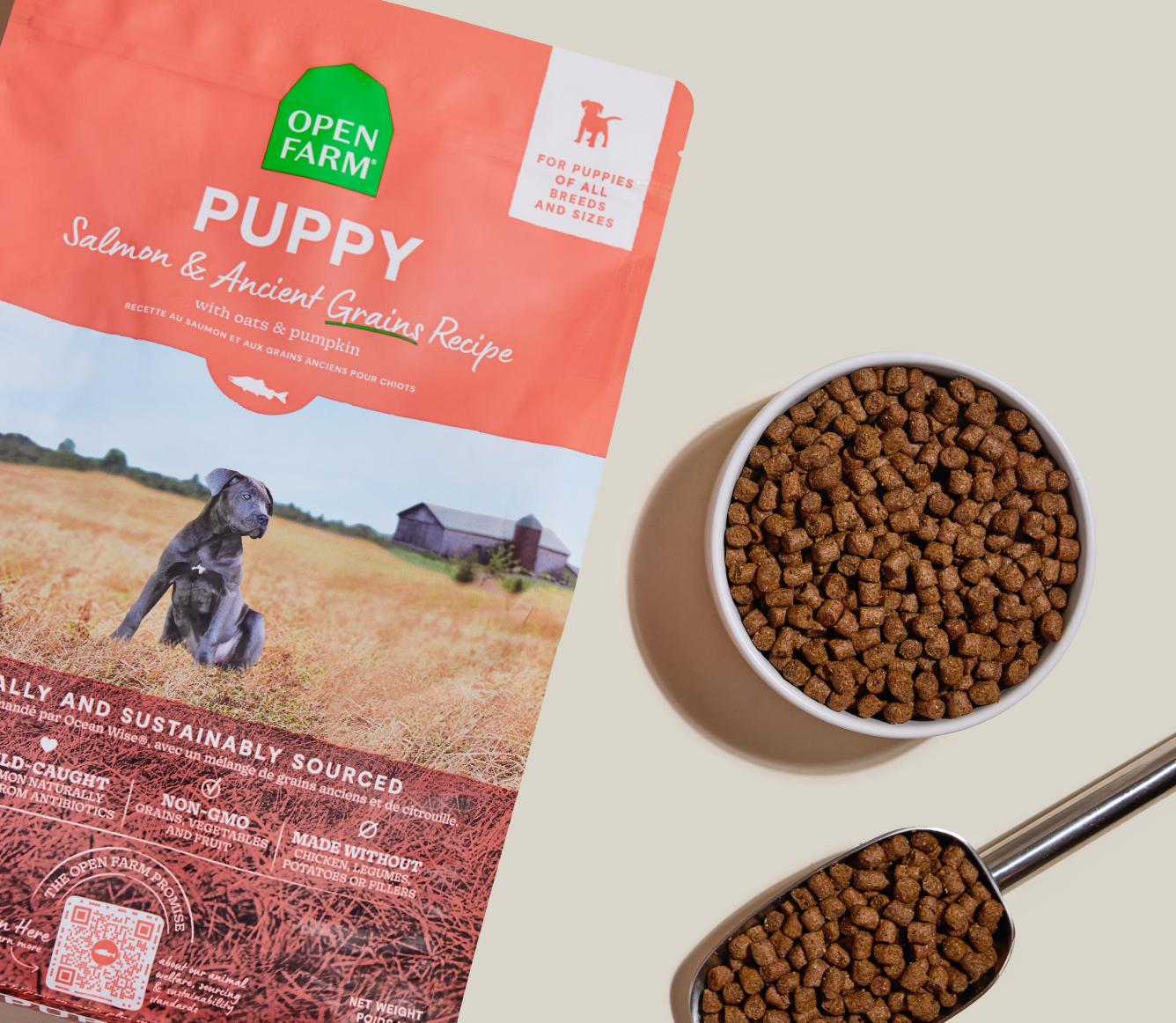 Open Farm Salmon & Ancient Grains Puppy Kibble