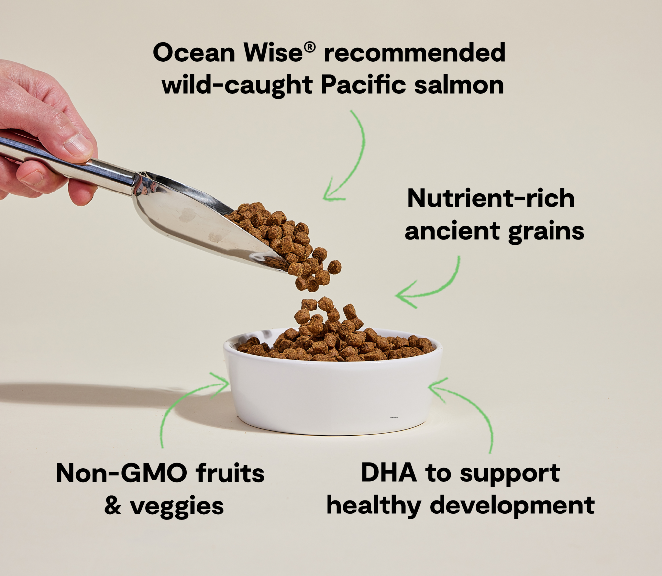 Open Farm Salmon & Ancient Grains Puppy Kibble