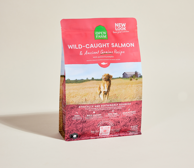 Open Farm Wild-Caught Salmon & Ancient Grains Dog Kibble