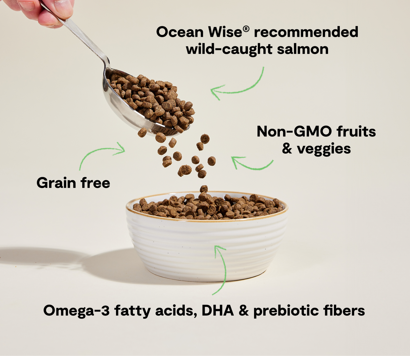 Open Farm Pet Wild-Caught Salmon Grain-Free Cat Kibble