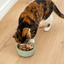 Open Farm Arctic Char Topper for Cats