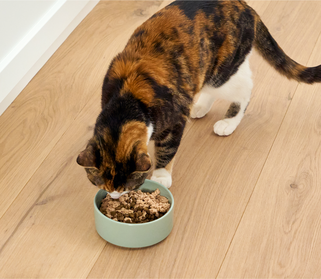 Open Farm Arctic Char Topper for Cats