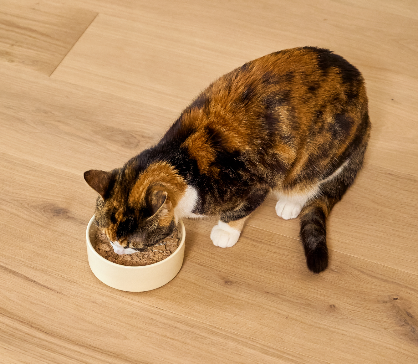 Open Farm Chicken & Grass-Fed Beef Pate for Cats