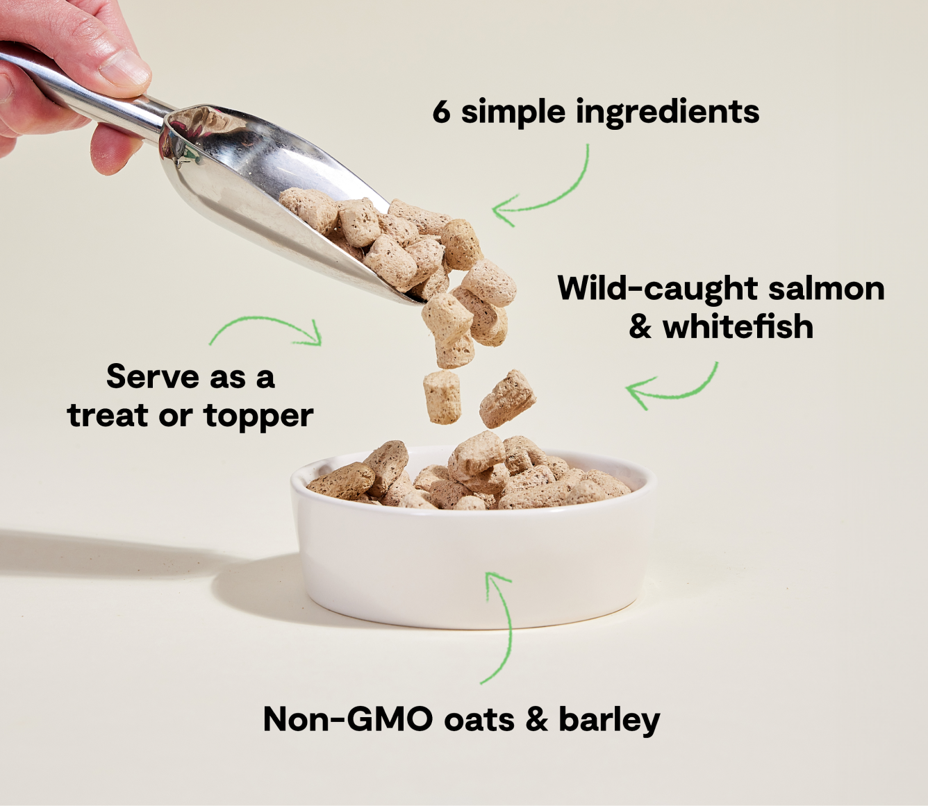 Open Farm Goodbowl Wild-Caught Salmon Freeze Dried Raw Morsels for Dogs