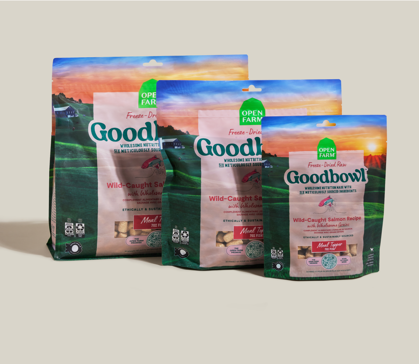 Open Farm Goodbowl Wild-Caught Salmon Freeze Dried Raw Morsels for Dogs