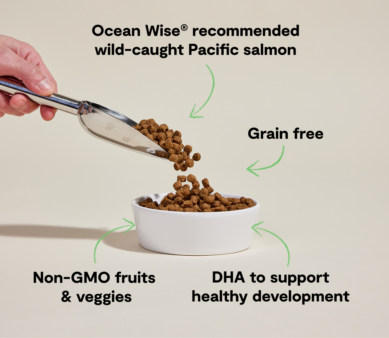 Open Farm Salmon Grain-Free Puppy Kibble