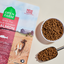 Open Farm Pet Wild-Caught Salmon Grain-Free Dog Kibble