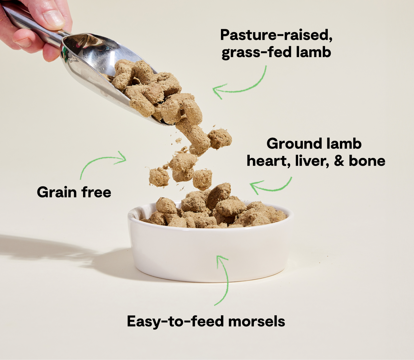Open Farm Pet Pasture-Raised Lamb Freeze Dried Raw Morsels for Dogs