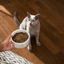 Open Farm Pet Wild-Caught Salmon Grain-Free Cat Kibble