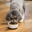 Open Farm Chicken & Whitefish Healthy Weight Dog Kibble