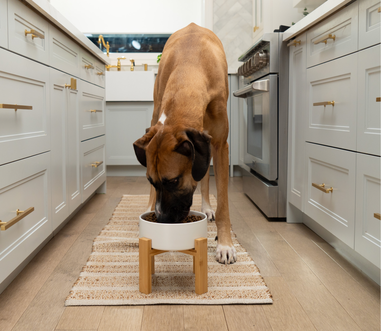 Open Farm Goodbowl Grass-Fed Beef & Brown Rice Dog Kibble