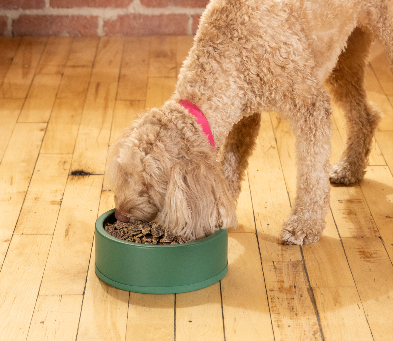 Open Farm Surf and Turf Air Dried Recipe for Dogs