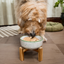 Open Farm Chicken & Salmon Freeze Dried Raw Patties for Puppies