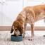Open Farm RawMix Open Prairie Freeze Dried Raw Morsels for Dogs