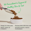 Open Farm Salmon & Oatmeal Skin & Coat Health Dog Kibble