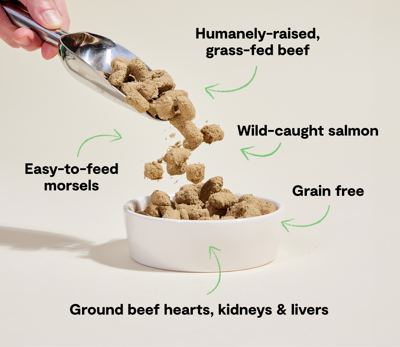 Open Farm Pet Surf & Turf Freeze Dried Raw Morsels for Dogs