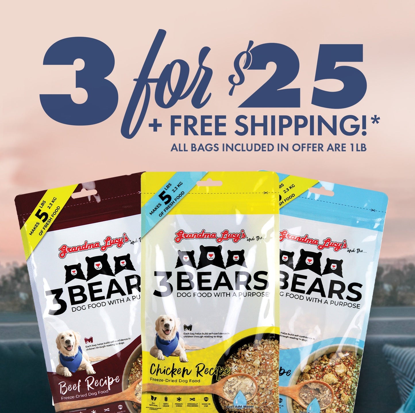 3 for $25 - 3 Bears Promotion + Free Shipping*