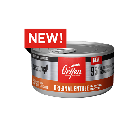 Orijen Original Recipe Canned Cat Food