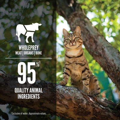 Orijen Tuna, Salmon & Beef Recipe Canned Cat Food