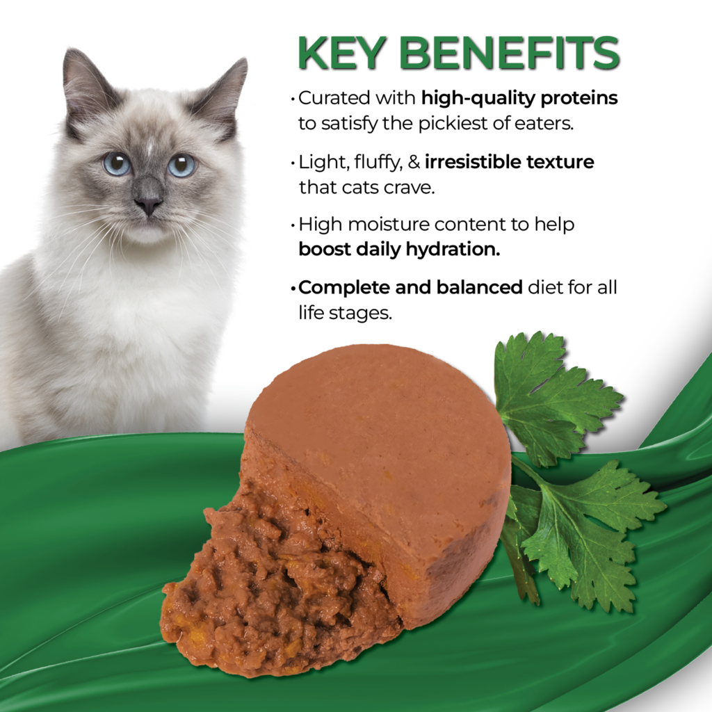 Fussie Cat Fine Dining Mousse Ocean Fish With Pumpkin Entree In Gravy 2.47-oz, Wet Cat Food, Case Of 24