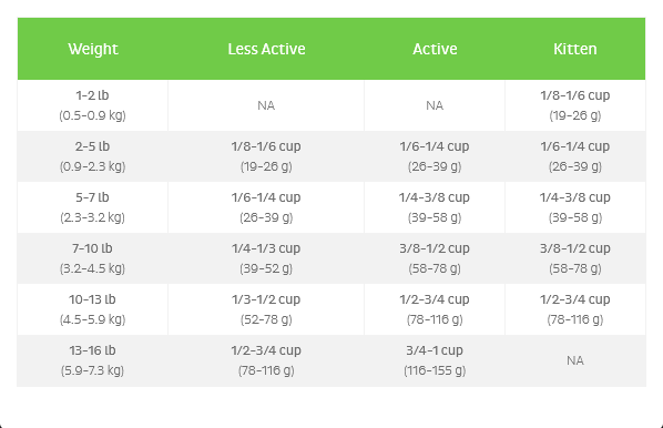 FirstMate Ocean Fish Meal & Blueberries Dry Cat Food