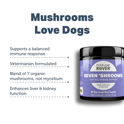 Four Leaf Rover - Seven 'Shrooms - Organic Mushroom Mix