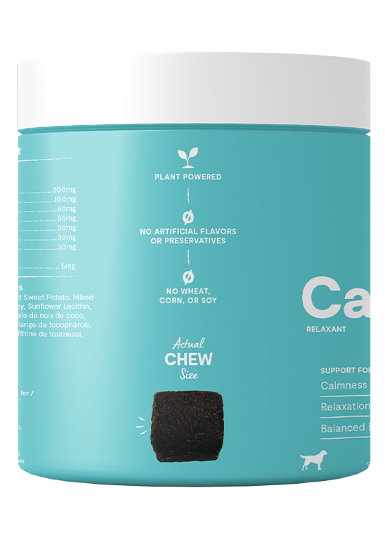 Open Farm Calming Health Supplement Chews for Dogs