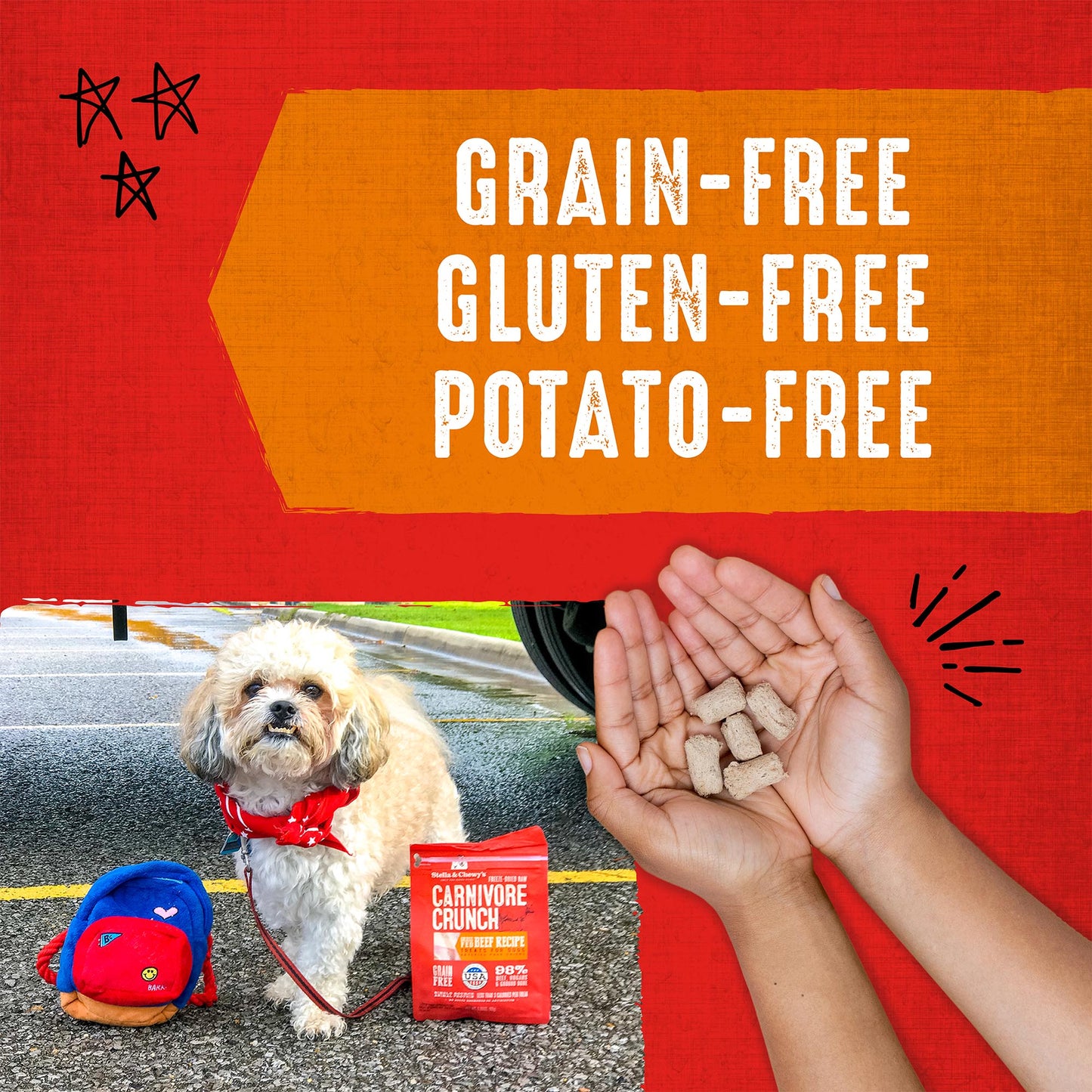 Beef Carnivore Crunch