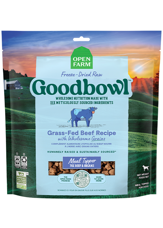 Open Farm Goodbowl Grass-Fed Beef Freeze Dried Raw Morsels for Dogs