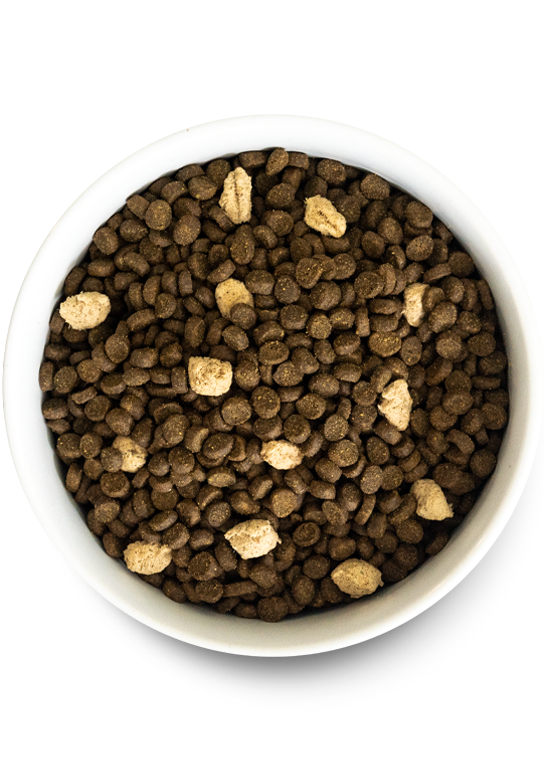 Open Farm Feline RawMix Plus Bundle