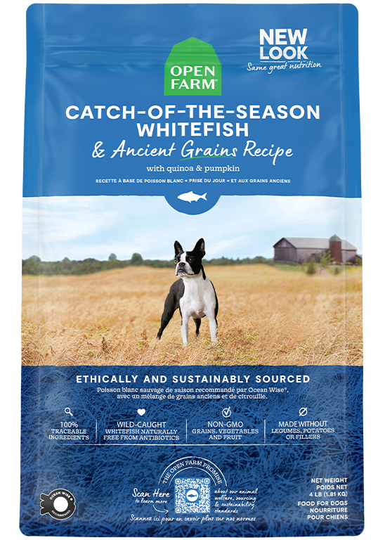Open Farm Whitefish & Ancient Grains Dog Kibble