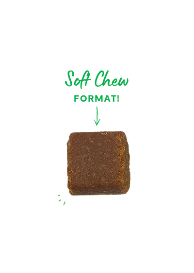 Open Farm Probiotic Food Supplement Chews for Dogs