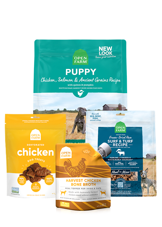 Open Farm Ancient Grains Puppy Pack
