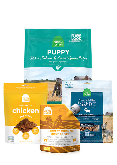 Open Farm Ancient Grains Puppy Pack