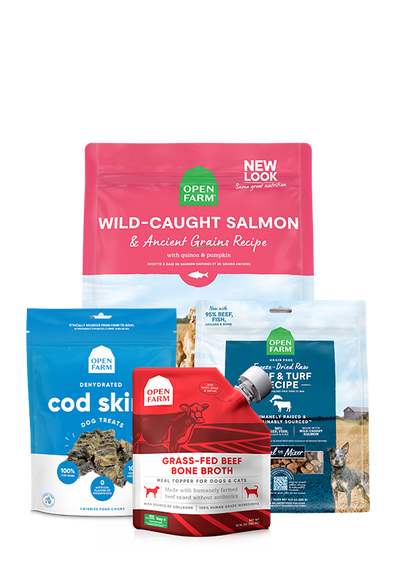 Open Farm Best Sellers Dog Bundle