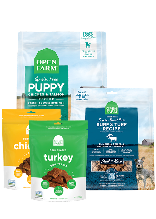 Open Farm Puppy Essentials Pack
