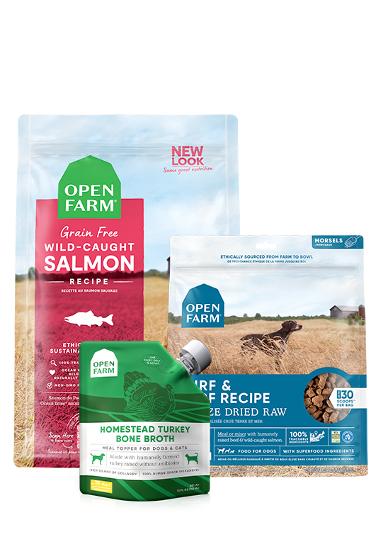 Open Farm Skin & Coat Bundle