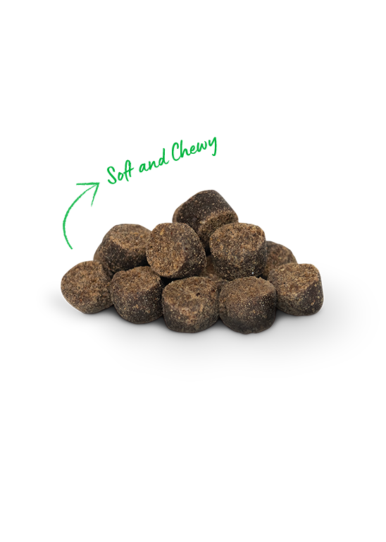Open Farm Be Good Bites Wild-Caught Salmon Recipe Treats