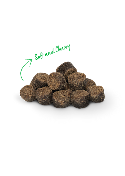 Open Farm Be Good Bites Wild-Caught Salmon Recipe Treats