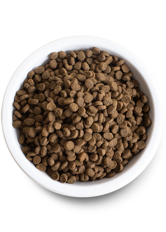 Open Farm New Kitten Pack