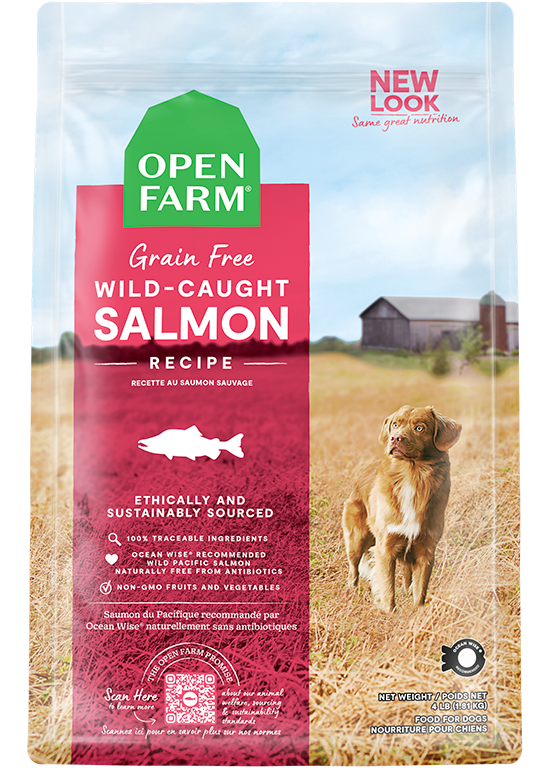 Open Farm Skin & Coat Bundle
