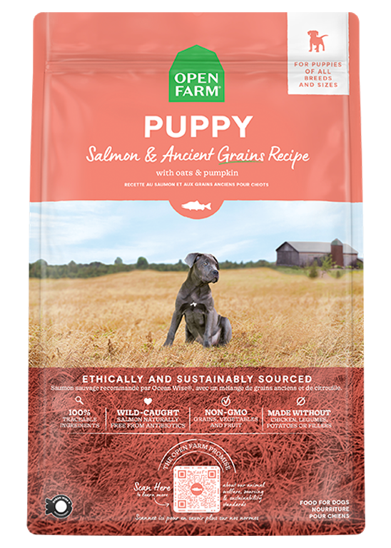 Open Farm Salmon & Ancient Grains Puppy Kibble
